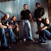 Chris Daughtry - List pictures