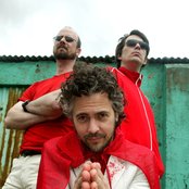 Flaming Lips - List pictures