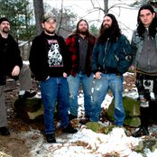 Birds Of Prey - List pictures