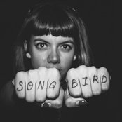 Hurray For The Riff Raff - List pictures