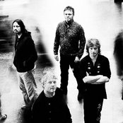 Vamp - List pictures