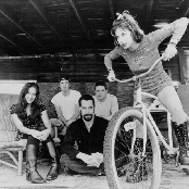 The Geraldine Fibbers - List pictures