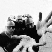 Psycho Realm - List pictures