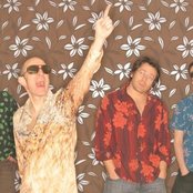 Kiscsillag - List pictures