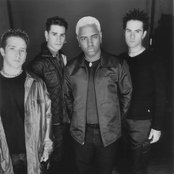 Splender - List pictures