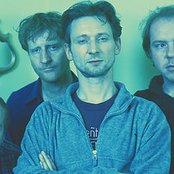 The High Llamas - List pictures