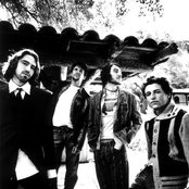 Audiovent - List pictures