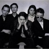 The London Suede - List pictures
