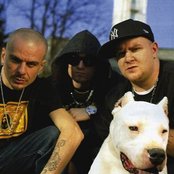 Club Dogo - List pictures