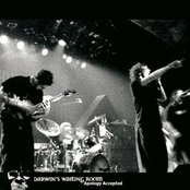 Darwin's Waiting Room - List pictures