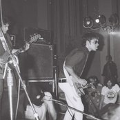 Radio Birdman - List pictures