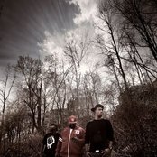 Random Axe - List pictures