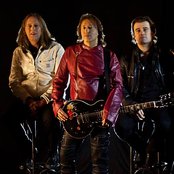 Divlje Jagode - List pictures