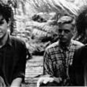 Eden - List pictures