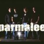 Parmalee - List pictures