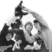 Monkeys - List pictures