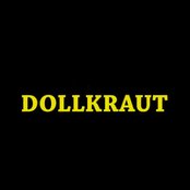 Dollkraut - List pictures