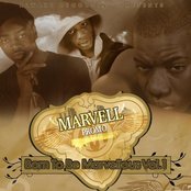 Marvell - List pictures