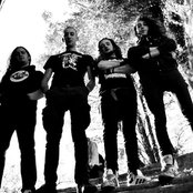 Omnivore - List pictures