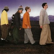 Jimmy's Chicken Shack - List pictures