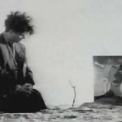 Anything Box - List pictures