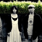 Dinner - List pictures