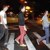 Wombats - List pictures