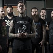 Krokodil - List pictures