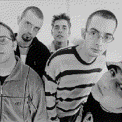 The Ernies - List pictures