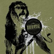 Brutus - List pictures