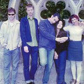 The Geraldine Fibbers - List pictures