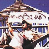 Scarub - List pictures