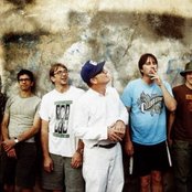 Lambchop - List pictures