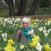 Cate Le Bon - List pictures