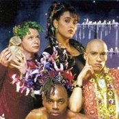 Urban Cookie Collective - List pictures