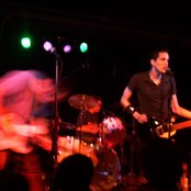 Speedwell - List pictures