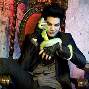 Adam Lambert - List pictures