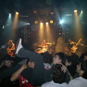 Eruca Sativa - List pictures