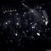 Willy Mason - List pictures