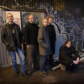 Green Carnation - List pictures