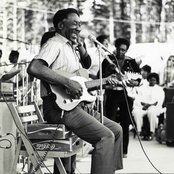 Muddy Waters - List pictures