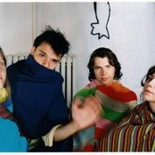 The Dirty Projectors - List pictures