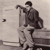 Terry Hall - List pictures