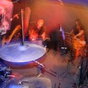 The Amber Herd - List pictures