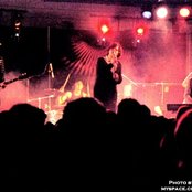 The Morning Light - List pictures