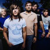 Ivoryline - List pictures