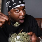 Spice 1 - List pictures