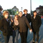 Kitten - List pictures