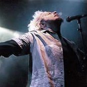 Neuroticfish - List pictures