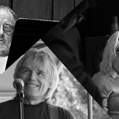 Orang-utan - List pictures